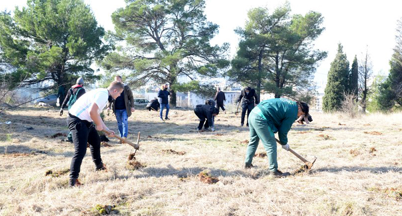 Realizovana još jedna akcija pošumljavanja – Na Gorici posađeno 500 sadnica